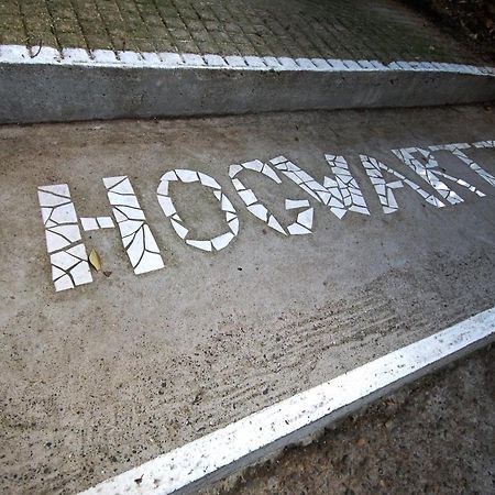Hogwartz Backpackers And Studios Dunedin Exterior foto