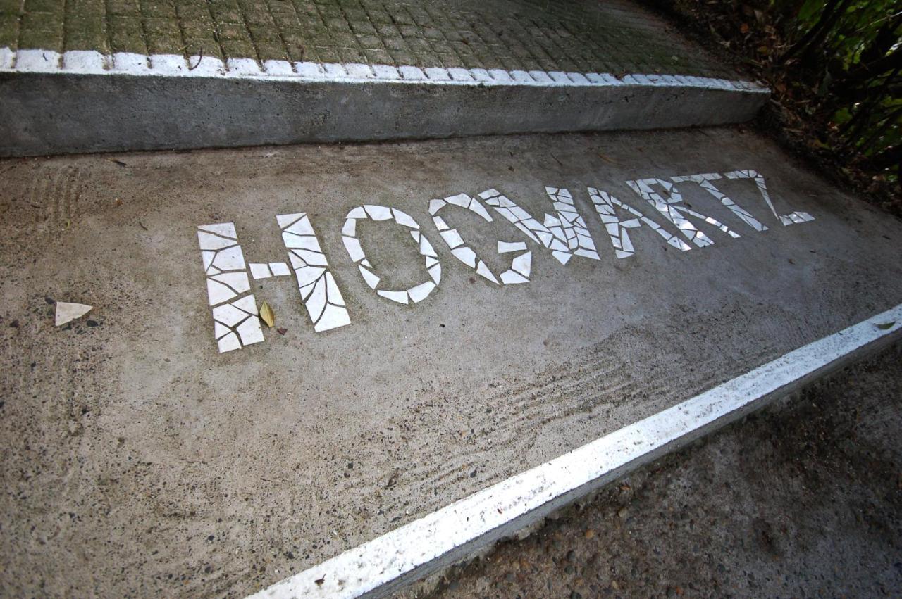 Hogwartz Backpackers And Studios Dunedin Exterior foto